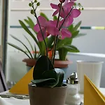 Bahn-hotel 3*