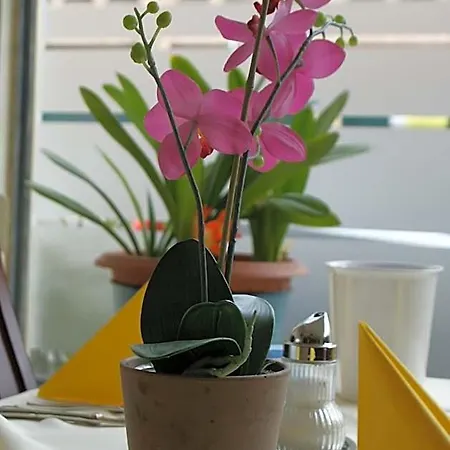 Bahn-hotel Hotel Düsseldorf